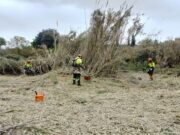 Ajuts de la Diputació de Tarragona per a centres especials de treball orientats a la conservació d’espais naturals