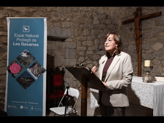 El_Massis_de_les_Gavarres_Un_Model_de_Respecte_entre_Natura_i_Vida_Humana.jpg