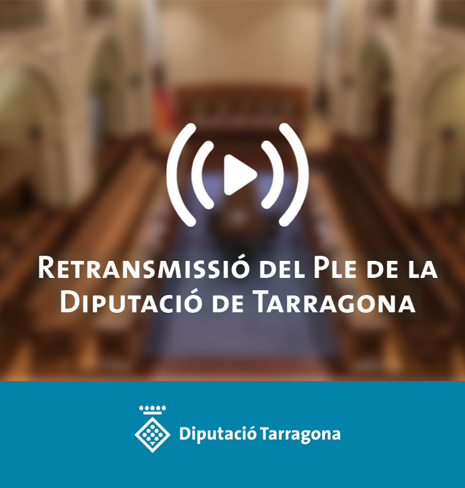 Seguiu_en_directe_el_Ple_extraordinari_de_la_Diputacio_de_Tarragona_del_18_de_novembre.jpg