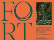 Últimes setmanes per visitar l’exposició Fortuny al Museu Salvador Vilaseca