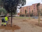 Reus impulsa la sostenibilitat amb la plantació de 371 nous arbres