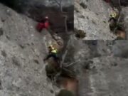 Un arbre evita la mort d’un senderista a la Morera de Montsant