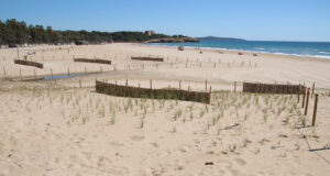 L’Ajuntament de Tarragona enllesteix les actuacions del projecte Greenbelt’26 que ha recuperat espais naturals