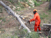 L’Ajuntament de Tarragona incrementa el ritme de creació de franges antiincendis al perímetre de les urbanitzacions