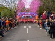 Reus es prepara per acollir la 14a edició de la Cursa de les Dones