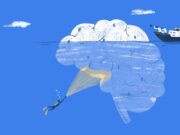 El cervell revela connexions amb el metabolisme i la infertilitat