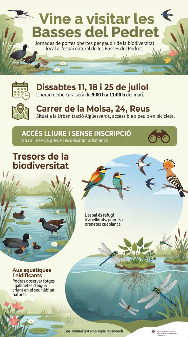 noticia_1782976370.jpg