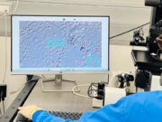 SpermSearch AI ajuda els embriòlegs en la identificació d’espermatozoides viables