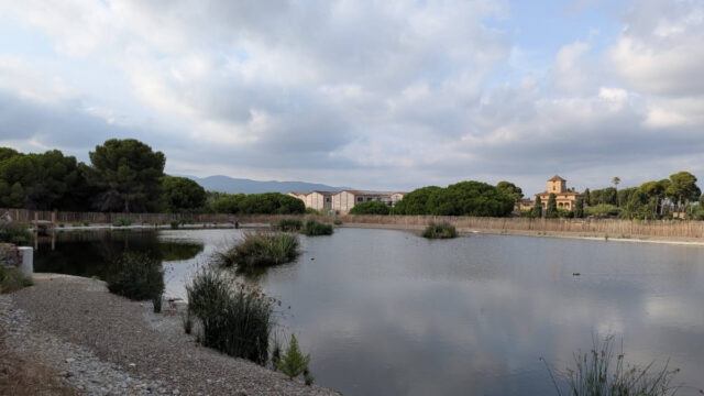 Imatge de les Basses del Pedret (Reus)