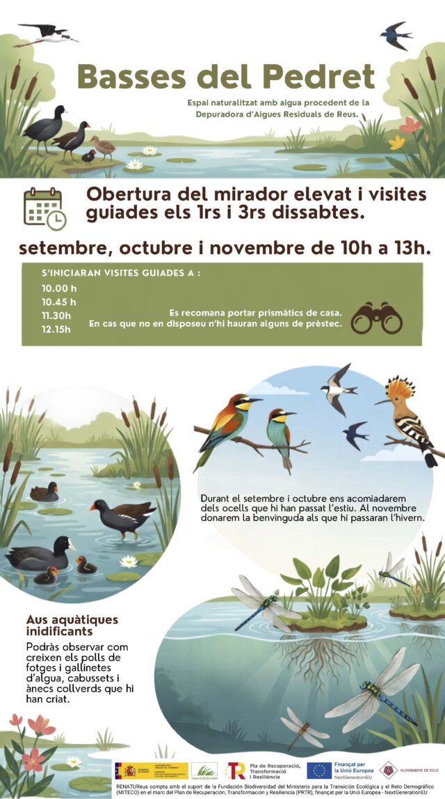 noticia_1787836334.jpg